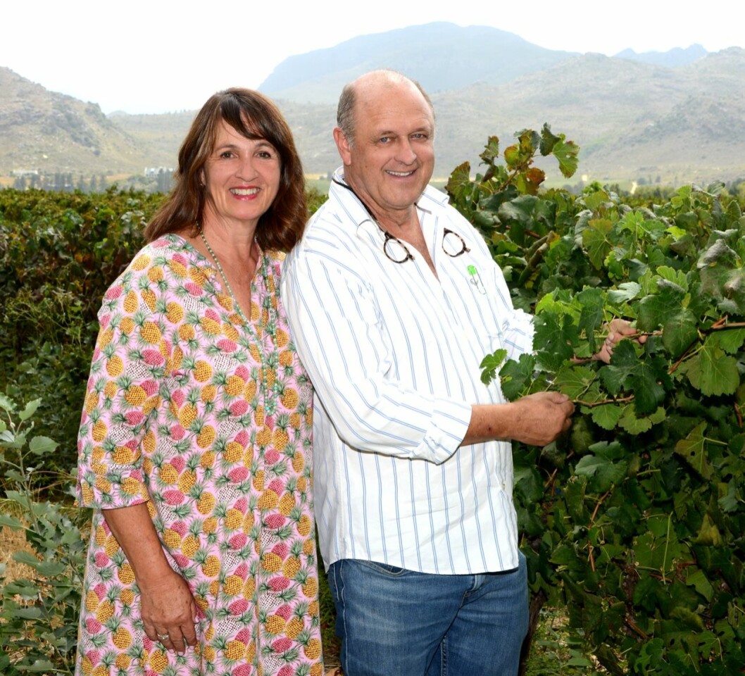 Richard och Julie vid sina Merlot-druvor Richard och Julie vid sina Merlot-druvor