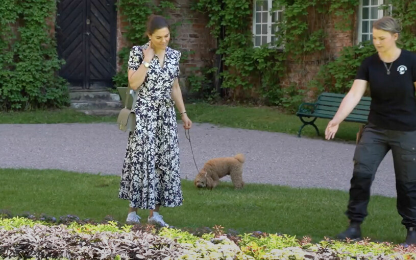Odlingarna ingick också i rundturen. Rio fokuserade på annat. Kronprinsessan Victoria Hunden Rio Gripsholms slott