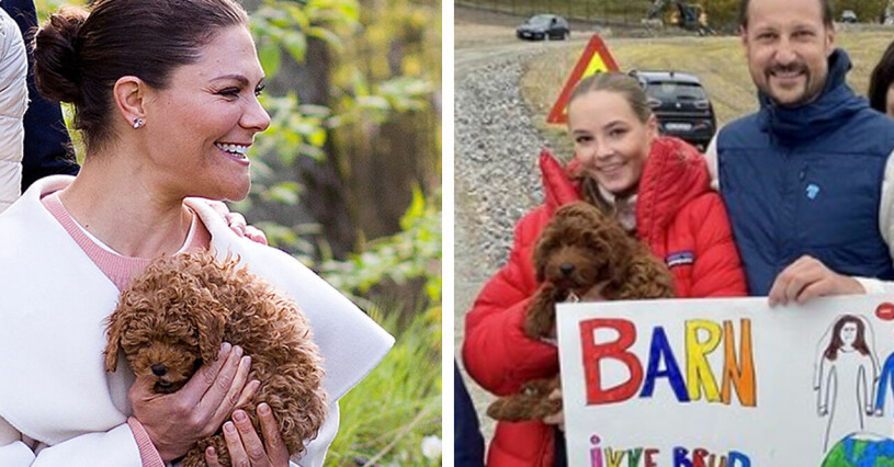 Kronprinsessan Victoria med Rio i famnen, och hennes guddotter prinsessan Ingrid Alexandra med en väldigt snarlik valp. Kronprinsessan Victoria Prinsessan Ingrid Alexandra