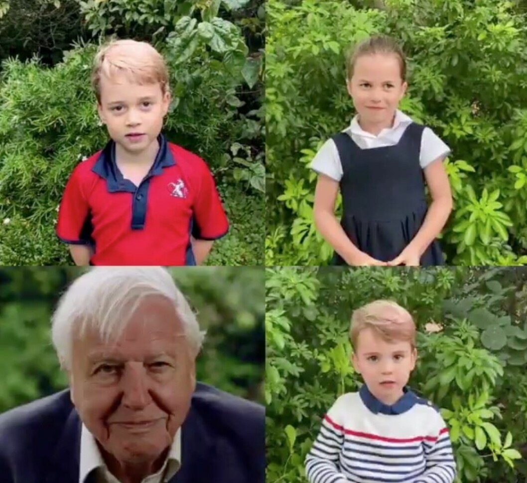 Alla barnen fick ställa varsin fråga till djurexperten David Attenborough!