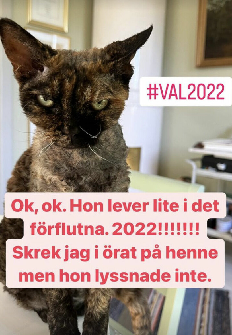 Foto: Instagram @jennystromstedt