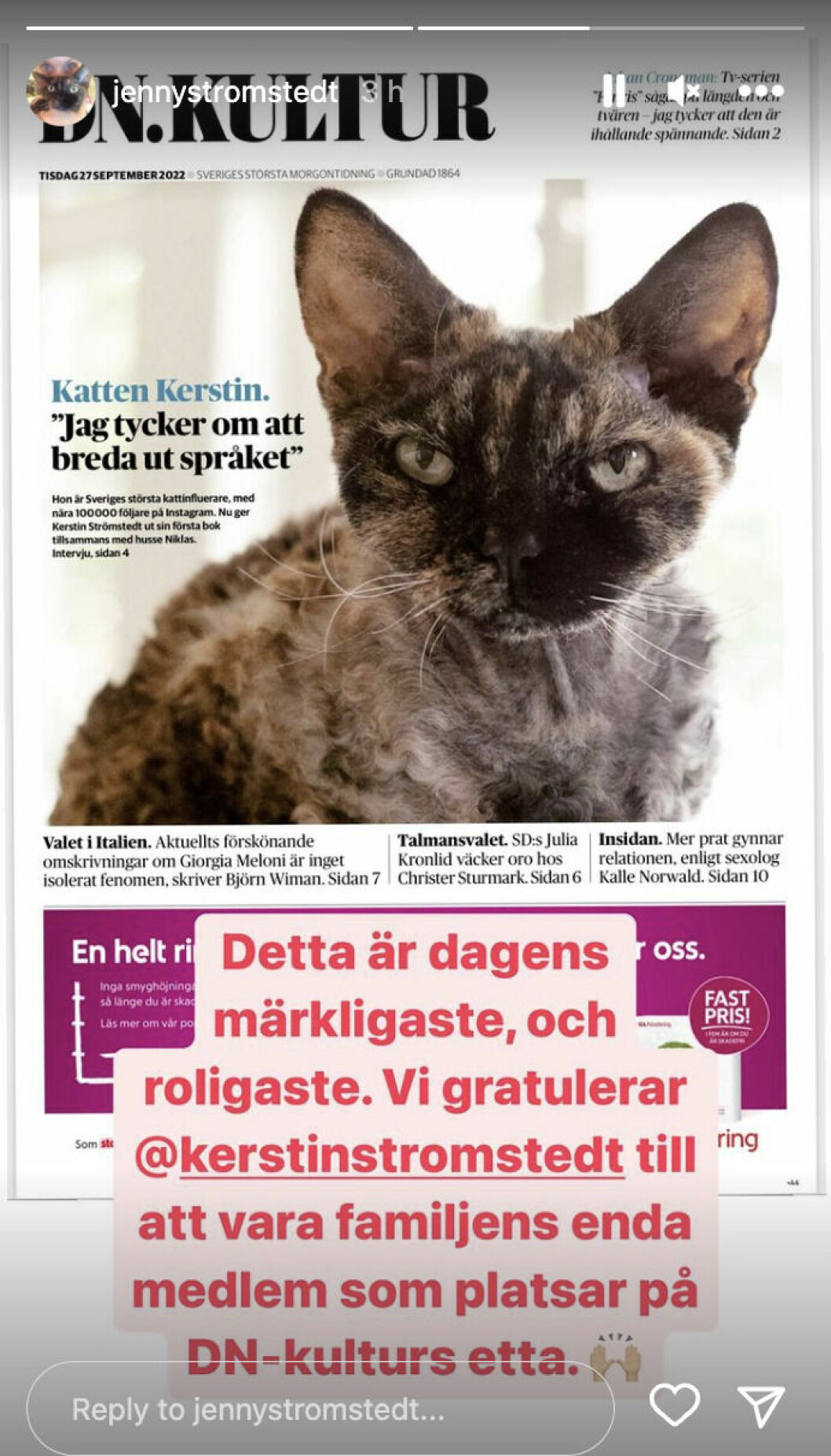Foto: Instagram @jennystromstedt Kerstin Strömstedt pryder DN Kultur idag