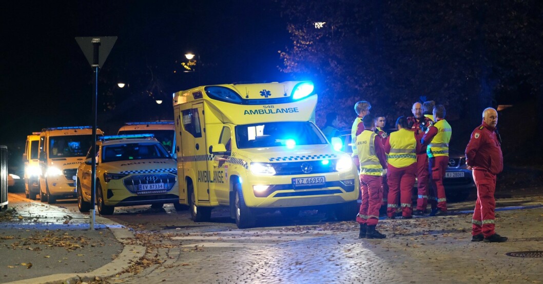 Pilbågsdådet i Kongsberg har skakat den norska kungafamiljen i grunden. Pilbågsdåd i Kongsberg