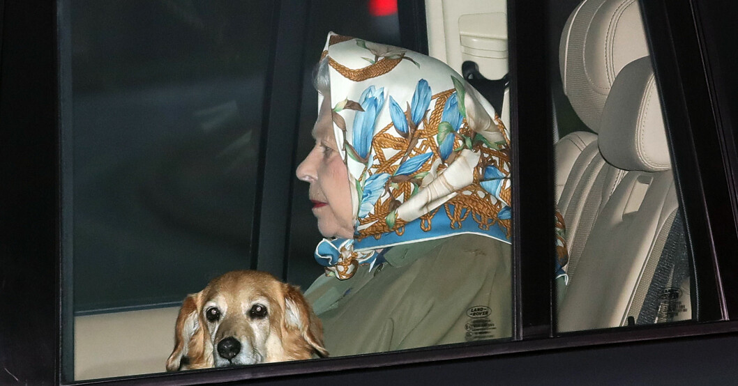 Drottning Elizabeth med hunden Candy. Foto: Drottning Elizabeth och hunden Candy