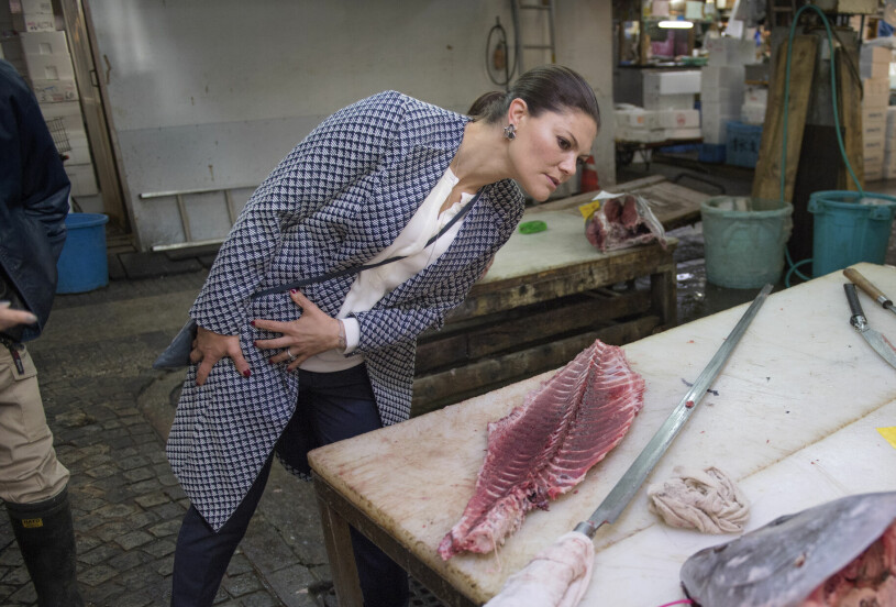 Fiskeexperten Victoria ute på fältet 2017: Världens största fiskemarknad i Tokyo.