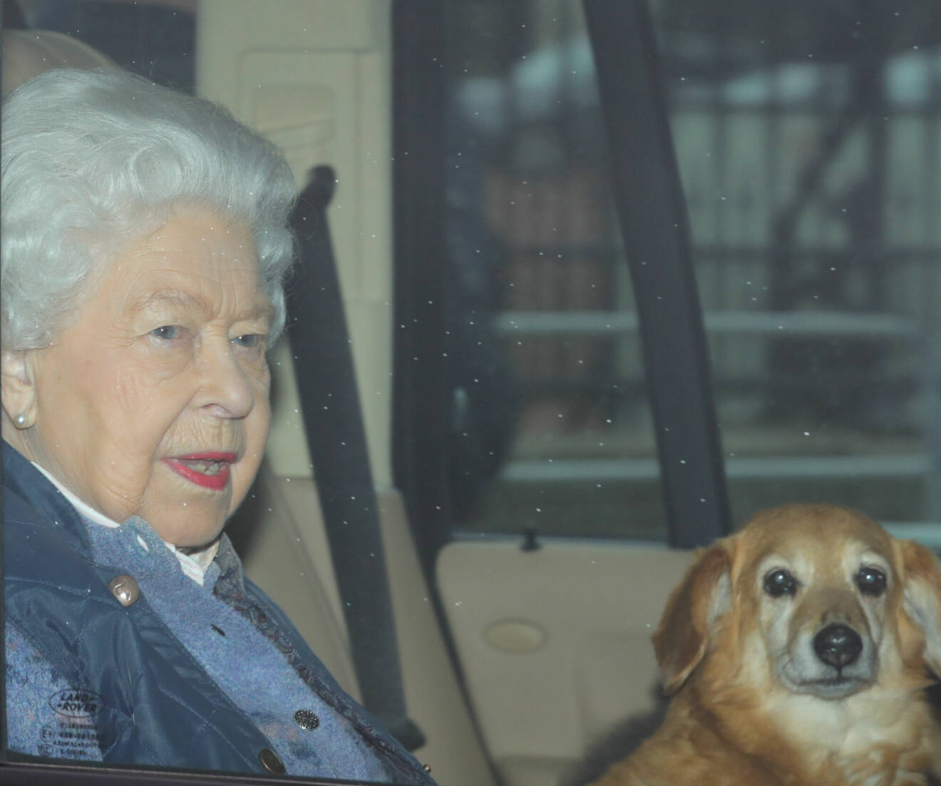 Drottning Elizabeth i bilen med sin dorgi Candy