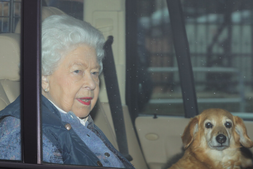 Drottning Elizabeth i bilen med sin dorgi Candy