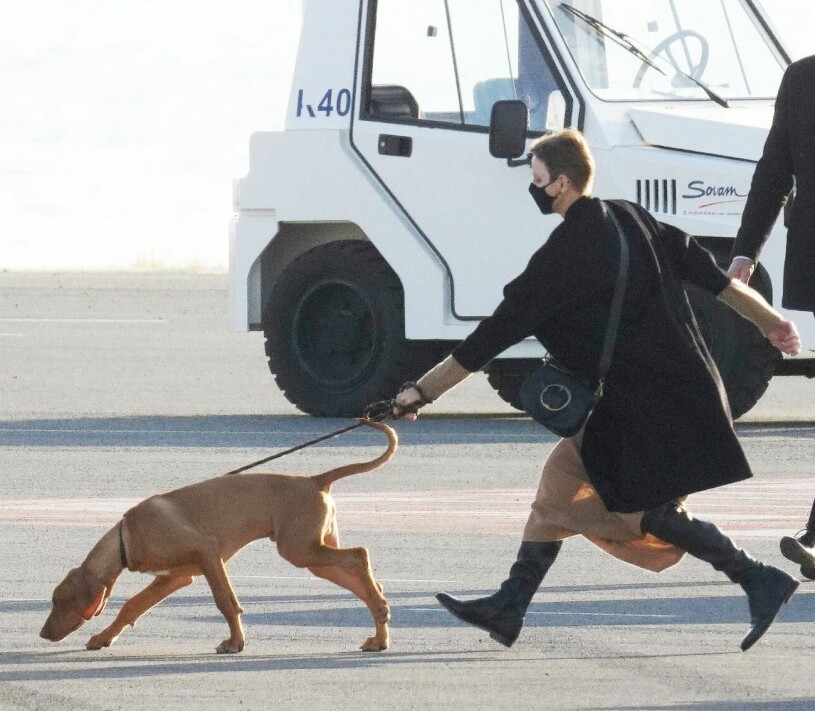 Charlene med sin hund – som visade sig vara betydligt starkare än hon. Furstinnan Charlene Hund Rhodesian ridgeback Hemma igen Flygplatsen i Nice