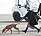 Furstinnan Charlene Hund Rhodesian ridgeback Hemma igen Flygplatsen i Nice