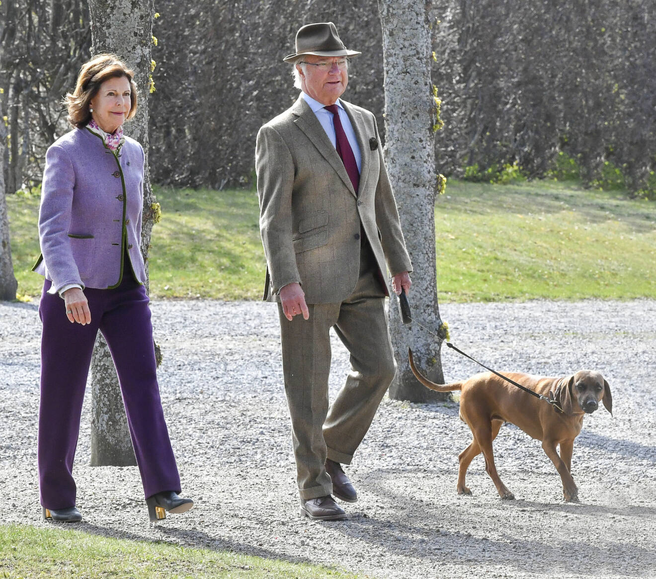 Drottning Silvia och kung Carl XVI Gustaf med hunden Brandie närvarar vid invigningen av den nya paviljongen på Ormholmen vid Drottningholms slott.