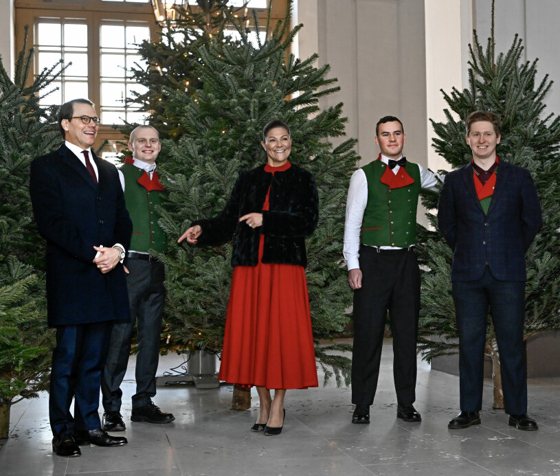 Härlig stämning – fast inga tindrande barn på Kungliga slottet i dag. Studenter från Skogshögskolan i Umeå lämnar granar till kronprinsessan Victoria och prins Daniel på slottet