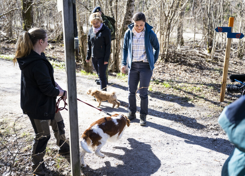 Ett av dagens kungliga hundmöten! Kronprinsessan Victoria och cavapoon Rio möter en annan hund under besöket i Garphyttans nationalpark