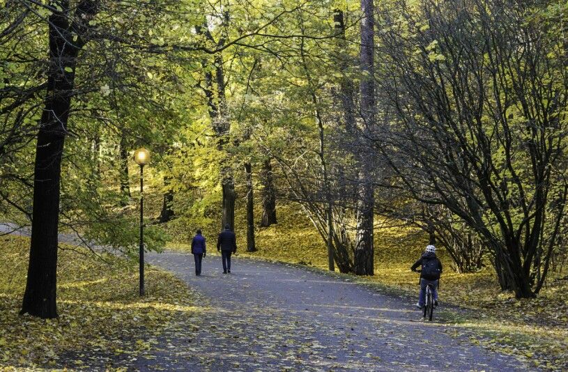 Vackra Hagaparken. Det var här som Joni Sanderovitch mötte kronprinsessan Victoria och prins Daniel – och fick ett minne för livet. Hagaparken i Solna utanför Stockholm