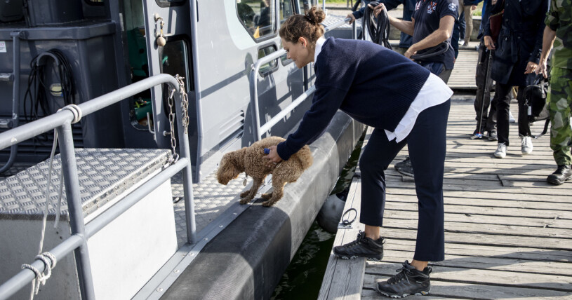 Kronprinsessan Victoria och hunden Rio på uppdrag tillsammans! Hunden Rio och kronprinsessan Victoria
