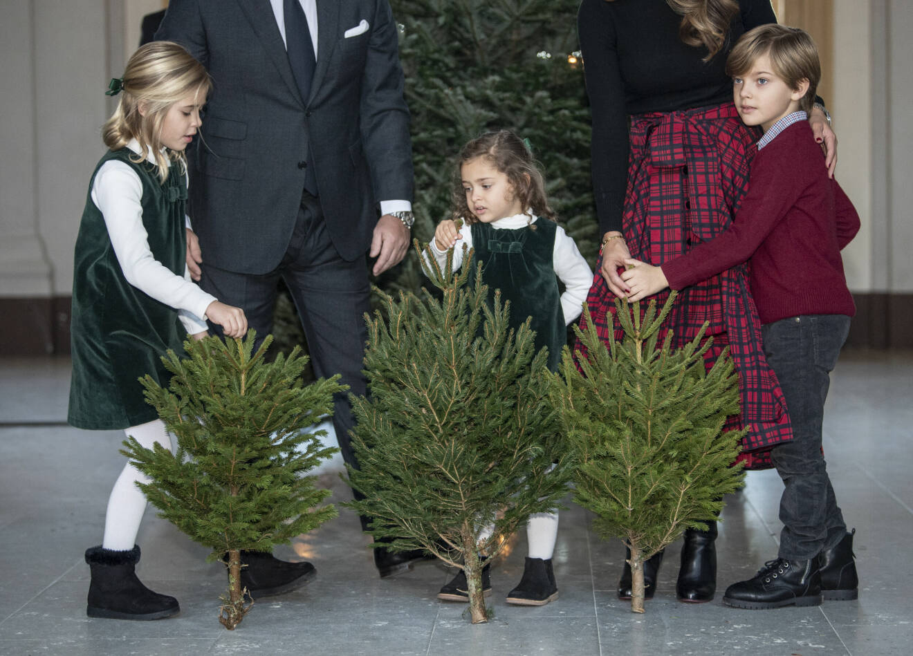 Prinsessan Madeleines barn prinsessan Leonore, prinsessan Adrienne och prins Nicolas tar emot granar inför julfirandet från Skogshögskolans studentkår på Stockholms slott.
