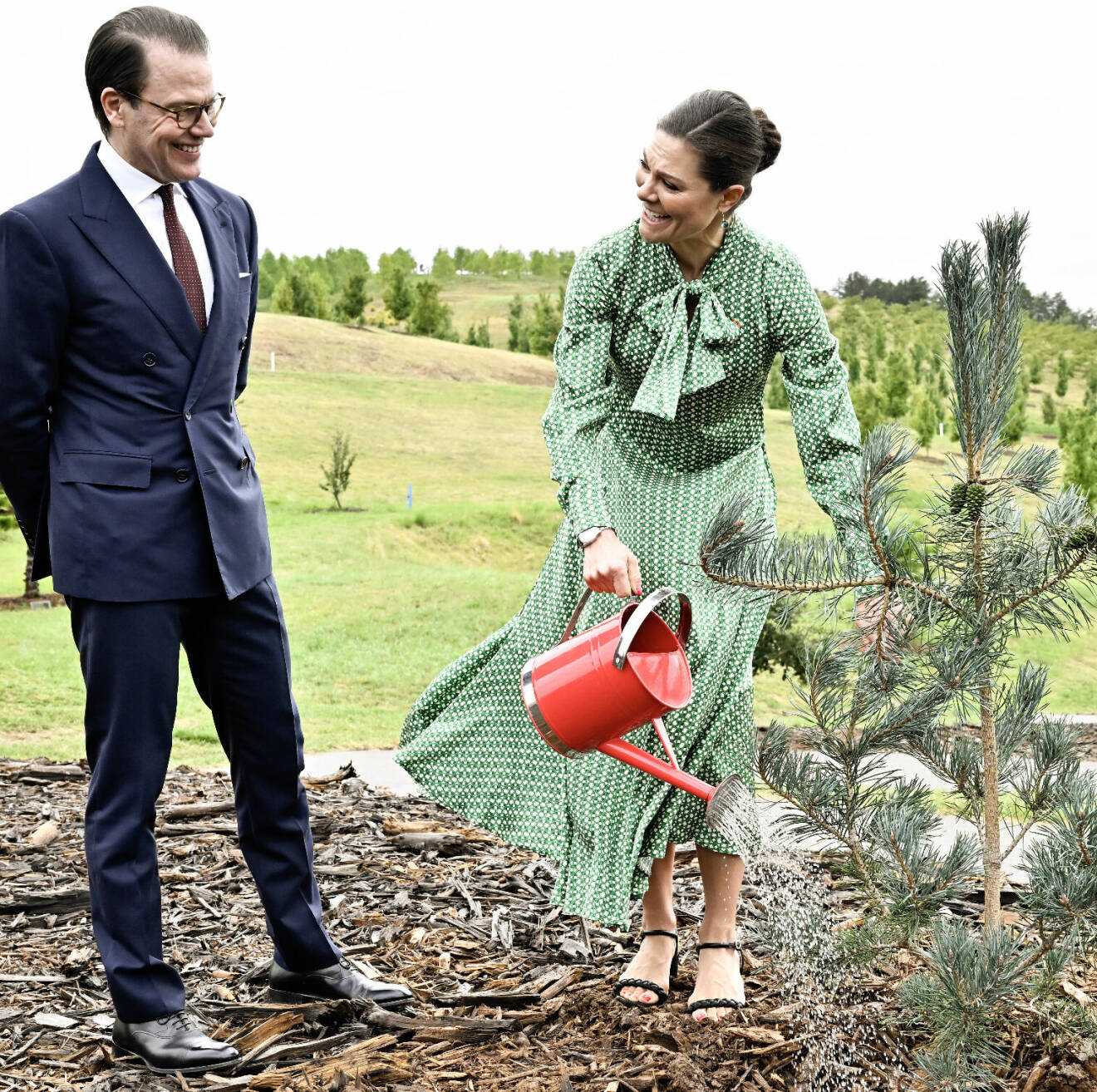 Kronprinsessan Victoria och prins Daniel planterar en tall i det nationella arboretet i Sydney