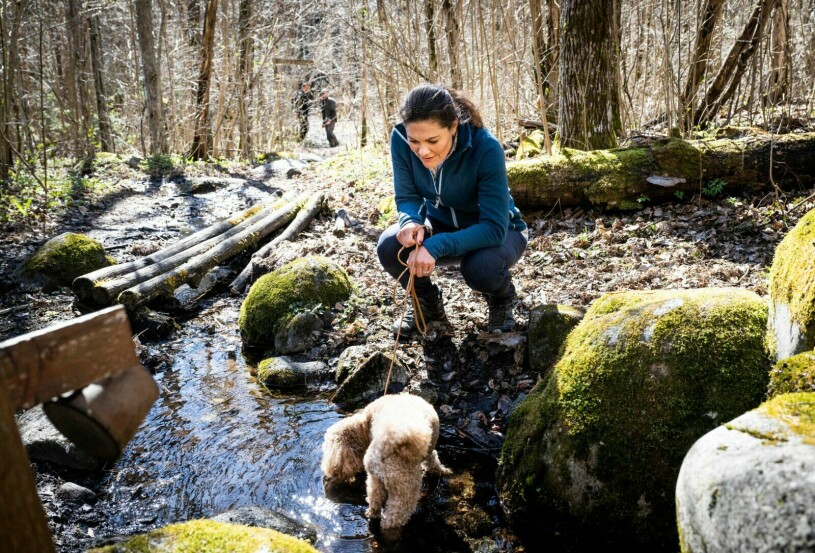 Kronprinsessan Victoria och hunden Rio i skogen