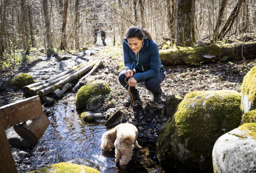 Här var det vätskestopp för Rio. Kronprinsessan Victoria och hunden Rio i Garphyttans nationalpark, en del av Victorias nationalparksprojekt