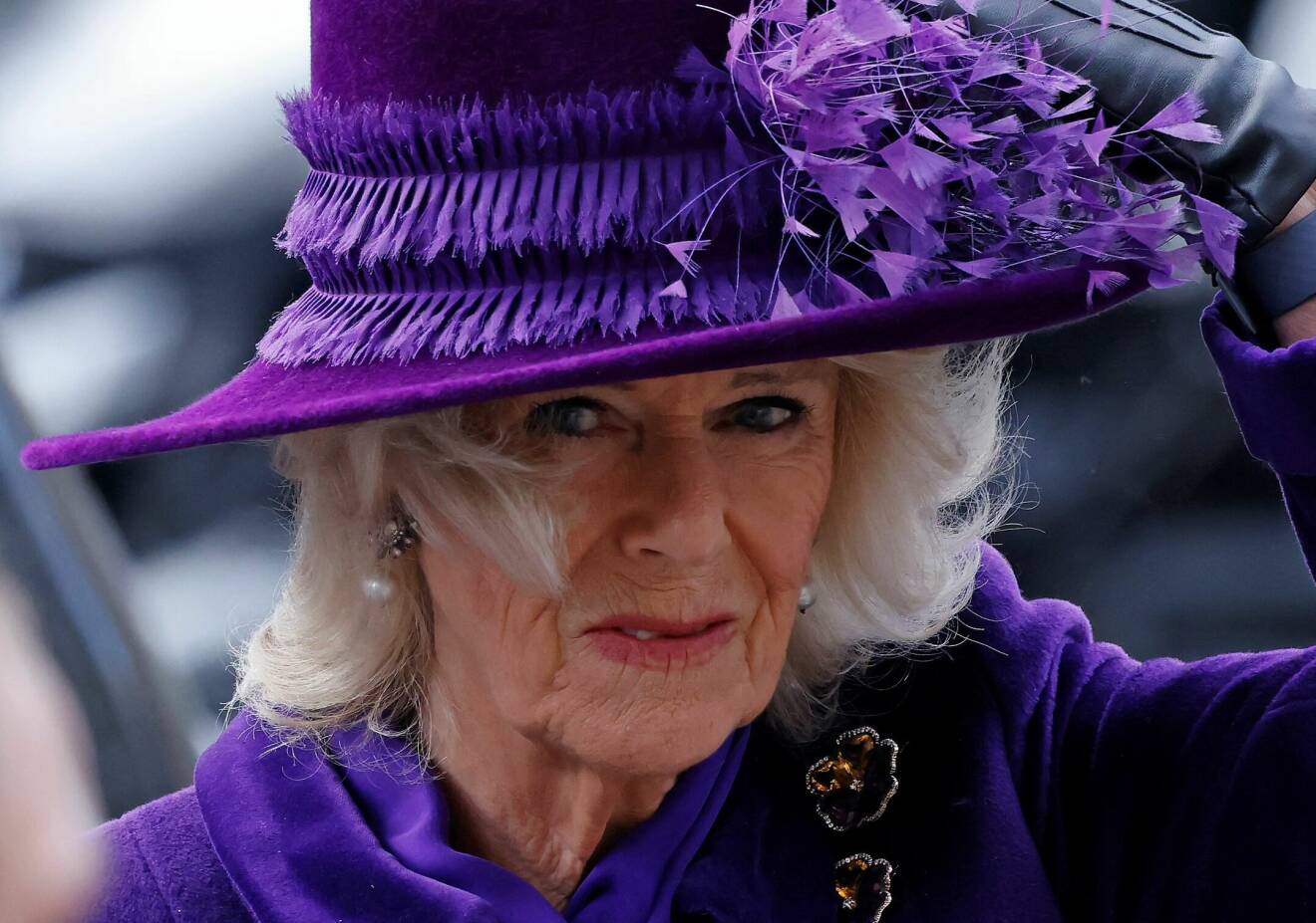 Hertiginnan Camilla i lila hatt
