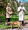 Kungen och drottning Silvia med hunden Brandie på Solliden 2023