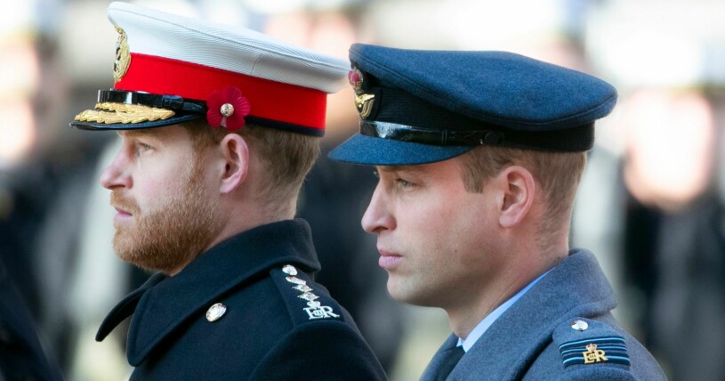 Harry och William ska träffas för att avtäcka en staty av Diana, enligt uppgifter. Foto: