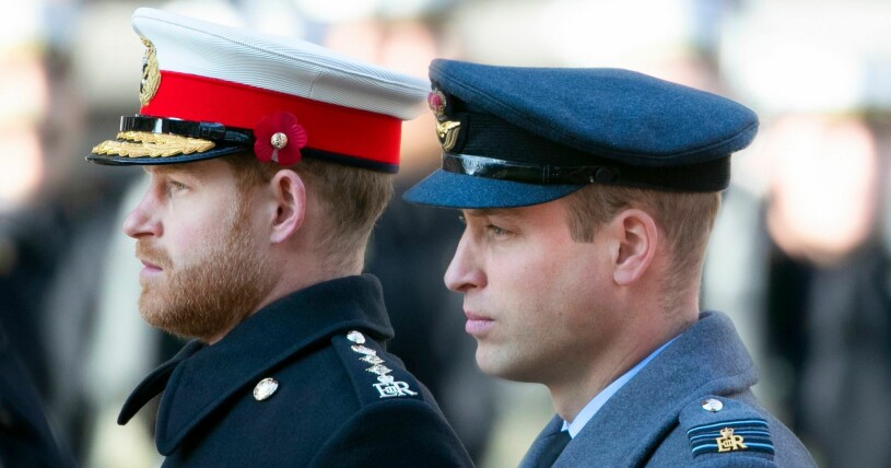 Prins Harry och prins William ger varandra utrymme just nu. Foto: Prins Harry och prins William