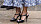 Kronprinsessan Victoria i marinblå skor sandaletter från YSL