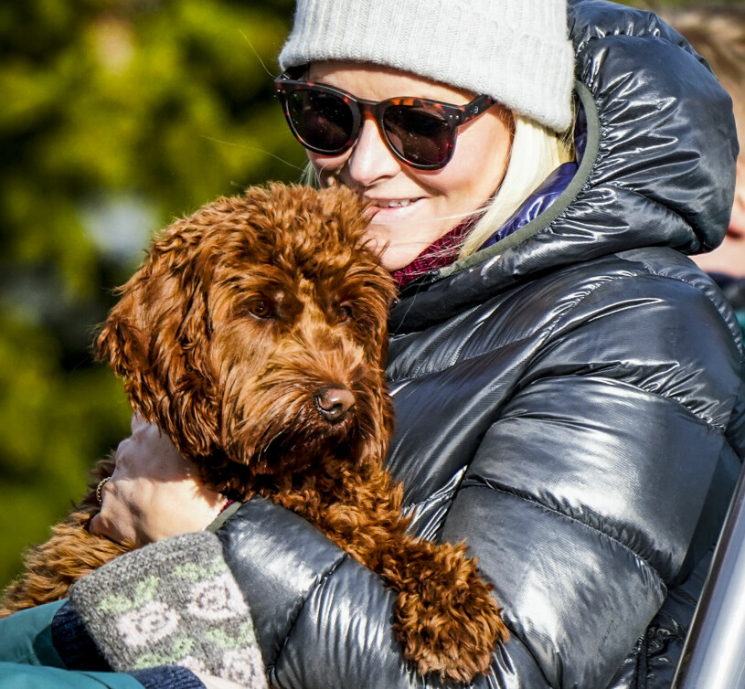 Mette-Marit ringside. Kronprinsessan Mette-Marit i Holmenkollen med sin hund Molly Fiskebolle