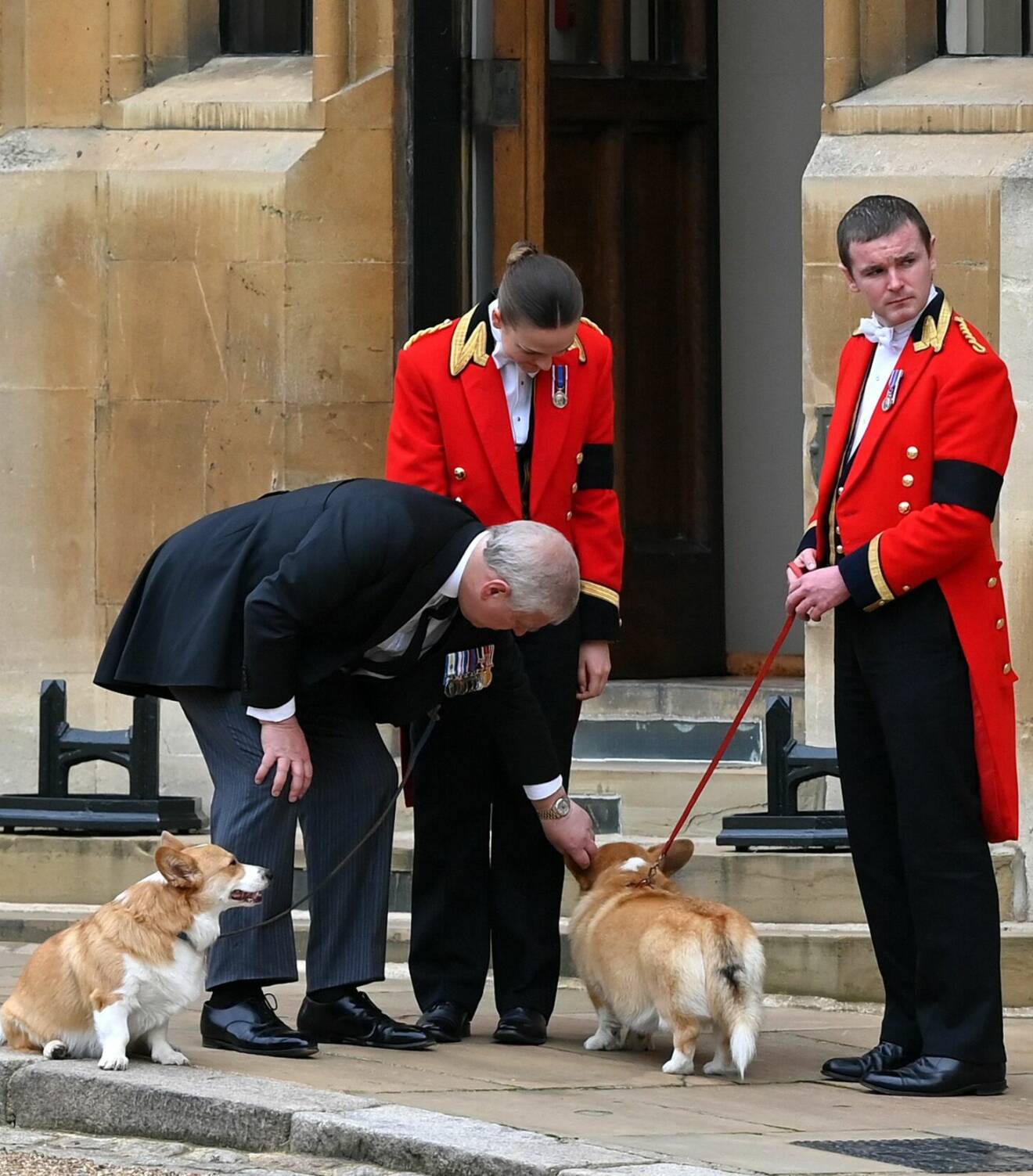 Prins Andrew hälsar på drottning Elizabeths corgis Sandy och Muick