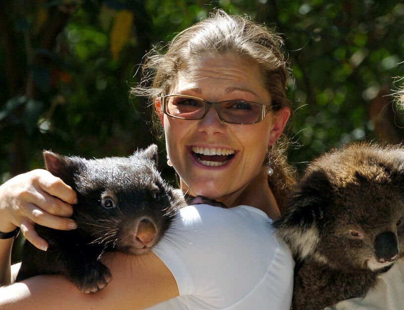 Resan inleds i Canberra nästa måndag, ett kärt återseende för Victoria som var i Australien 2005. Kronprinsessan Victoria med en koala i Australien 2005