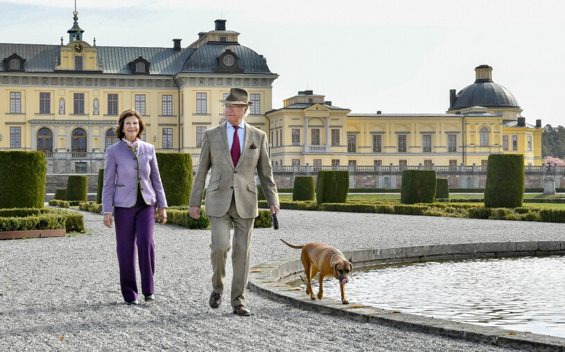Kungen och drottningen följer utvecklingen. Kungen Drottningen Drottningholms slott Hunden Brandie