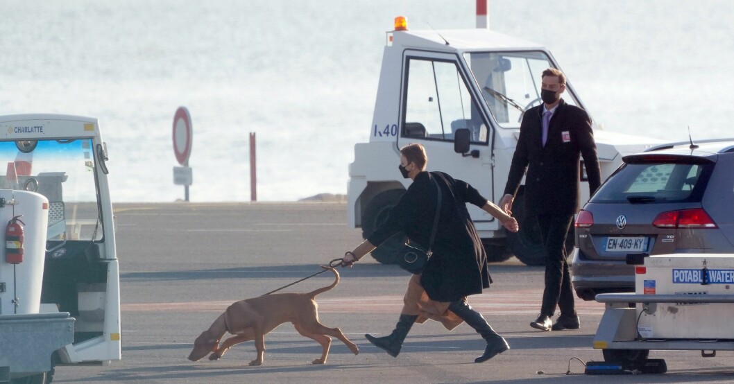 Charlene på flygplatsen i Nice med nya hunden Khan inför återföreningen med familjen, som blev kort. Furstinnan Charlene på flygplats i Nice