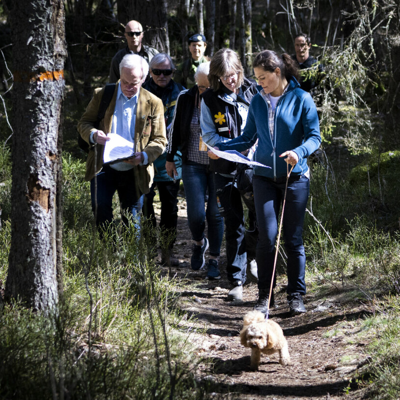 Rio tog täten och Victoria hade fullt sjå att hinna med. Kronprinsessan Victoria och hunden Rio besöker Garphyttans nationalpark