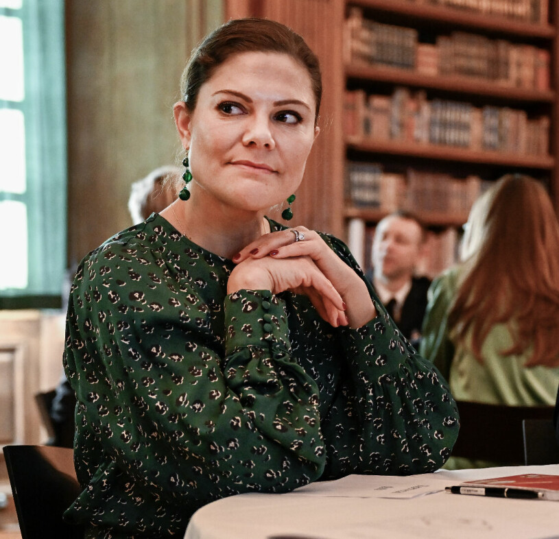 Victoria och Daniel vill vara en enande kraft, med målet att barn och unga ska må bra och leva i gemenskap. Kronprinsessan Victoria på seminarium på slottet i regi av kronprinsessparets stiftelse