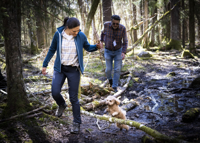 Rio visade framfötterna. Till vardags är han kung hemma på Haga. Kronprinsessan Victoria och hunden Rio i Garphyttans nationalpark