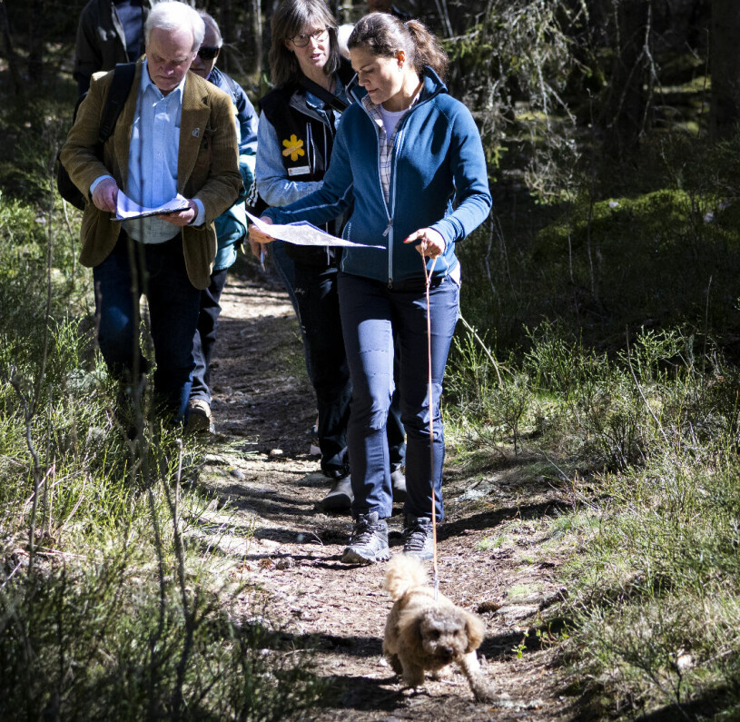 Väluppfostrad? I varje fall inte just här! Kronprinsessan Victoria på vandring i Garphyttans nationalpark med hunden Rio