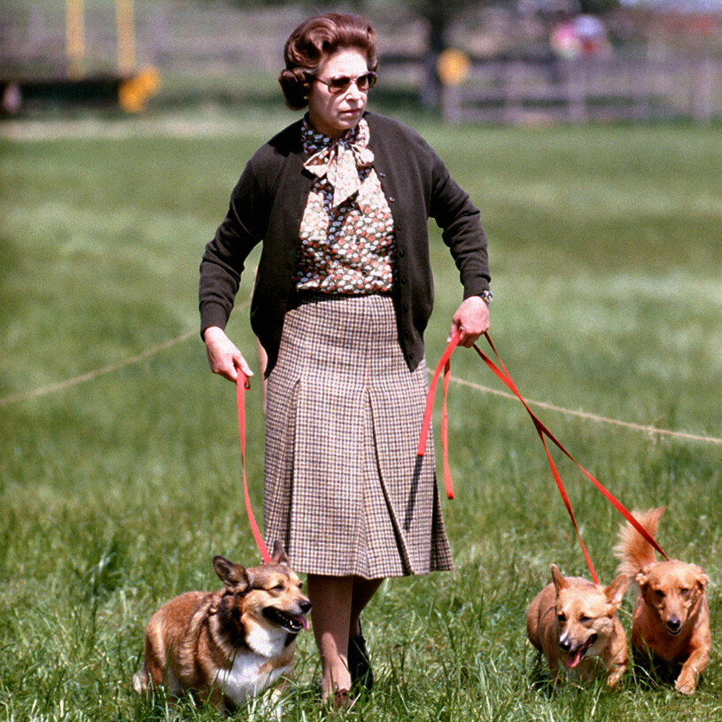 Elizabeth älskar hennes hundar!
