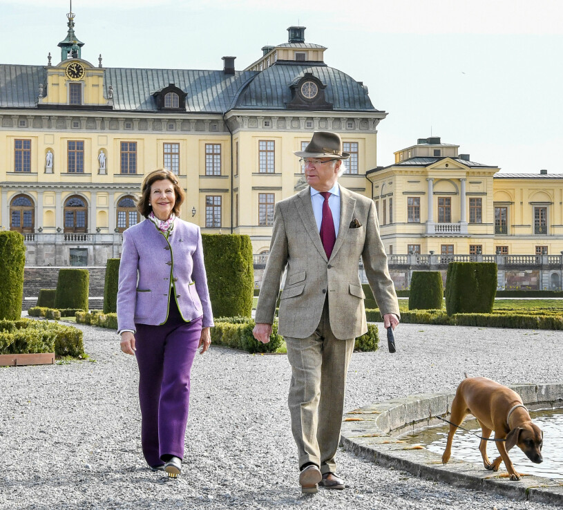 Kungen och drottning Silvia distansarbetar från hemmet, precis som så många andra. Kungen Drottningen Drottning Silvia Kungaparet Hunden Brandie Drottningholm Drottningholms slott