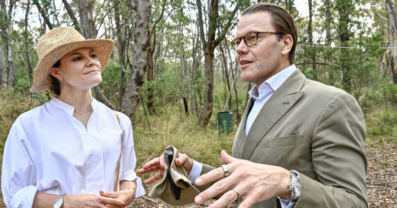 Pressmeddelandet om kungens hjärtoperation kommer när kronprinsessparet är i Australien. Kronprinsessan Victoria och prins Daniel på statsbesök i Australien
