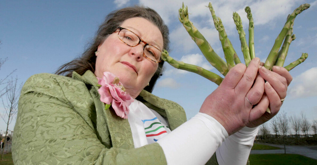 Jemima Packington, även kallad Mystic Veg, har gjort sig känd som världens enda spådam som spår i sparris. Jemima Packington