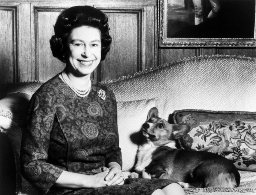 Drottning Elizabeth började ta hand om corgin Susan när hon var 18 år. Foto: CENTRAL PRESS / AFP Drottning Elizabeth och corgi