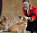 Drottning Elizabeths corgihundar Sandy och Muick på Windsor Castle när begravningskortegen passerade