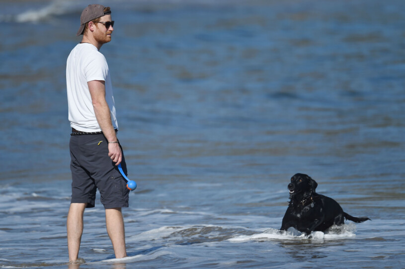 Harry och hunden Pula.