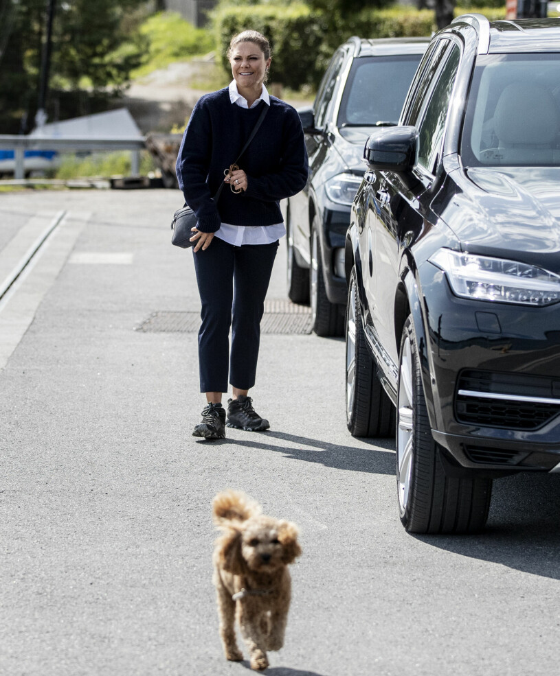 Så här kan det se ut när Victoria är ute med Rio, en blandras mellan pudel och cavalier king charles spaniel. Kronprinsessan Victoria Hunden Rio Cavapoo