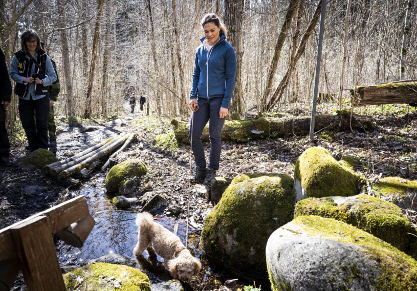 Rio stal showen! Kronprinsessan Victoria vandrar i Garphyttans Nationalpark utanför Örebro.