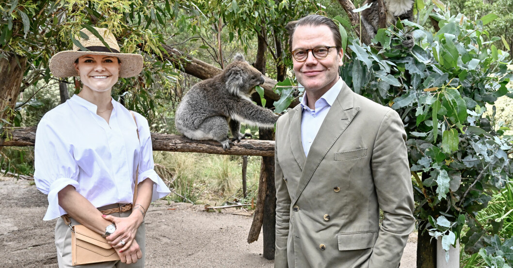 Kronprinsessan Victoria och prins Daniel hänger med koalor i Australien
