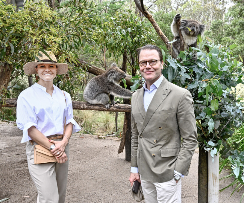 Victoria och Daniel på plats i Australien! Kronprinsessan Victoria och prins Daniel inledde på måndagen det officiella besöket i Australien där kronprinsessparet besökte ett rehabiliteringscenter för koalor i Namadgi National Park i Canberra.