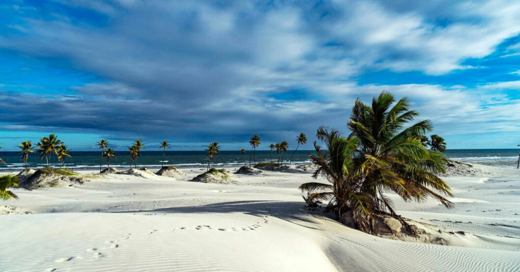 Delstaten Bahia i Brasilien är känd för sina vita stränder och gröna palmer. Delstaten Bahia i Brasilien