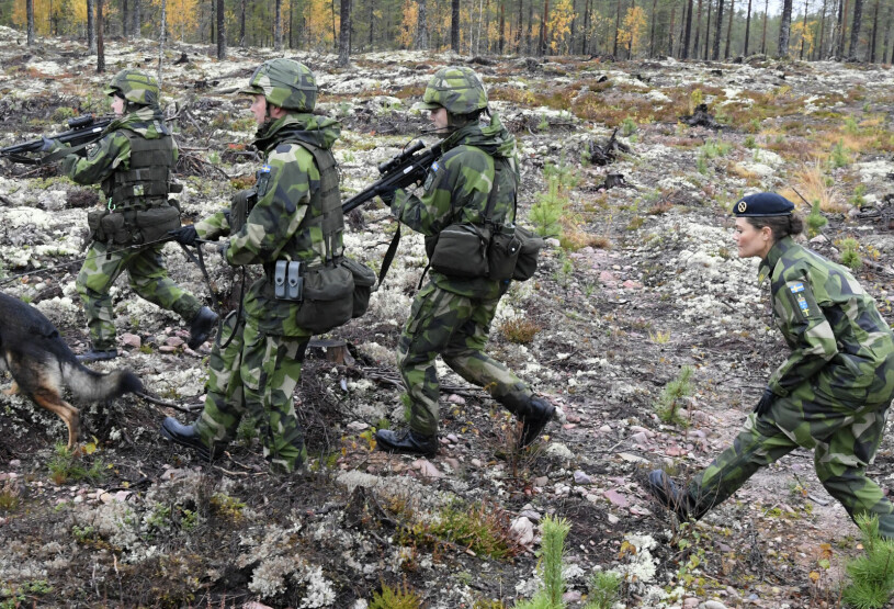 Soldaterna sökte av kalhygget, Victoria kom smygande bakom. Kronprinsessan Victoria Gränsland21 Hemvärnet