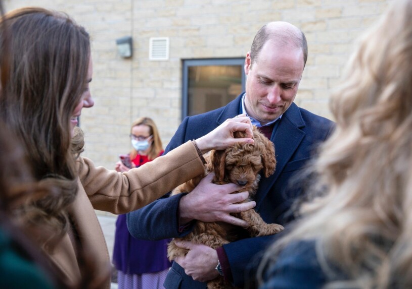 Kate och William älskar hundar!